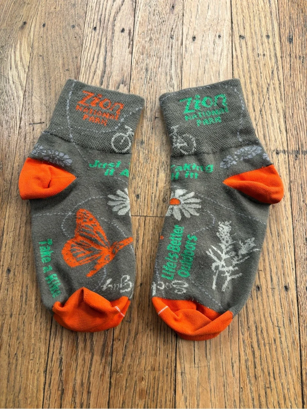 Men’s Zion national park bike socks